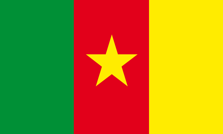 [CAMEROUN] Polémique entre deux structures au sujet de l&rsquo;organisation à Lyon de la fête nationale prévue le 20 mai 2018