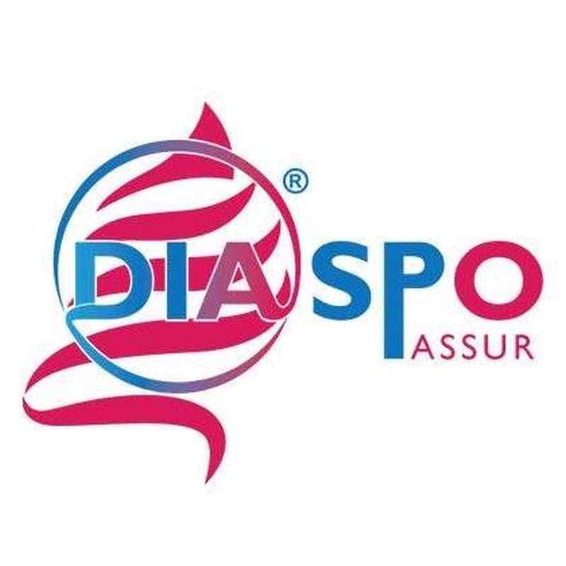 [ASSURANCES] DiaspoAssur rencontre la diaspora africaine de Lyon