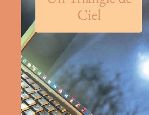 [LITTERATURE] L'incroyable odyssée d'un mineur isolé dans " Un triangle de Ciel" de  Colette Mourey