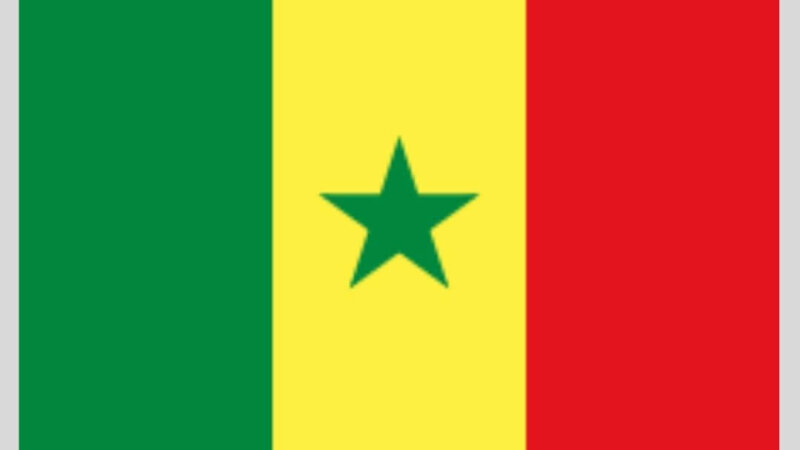 [SENEGAL] Mise en place d’une permanence juridique au Consulat Général de Lyon tous les 1er mercredis de chaque mois