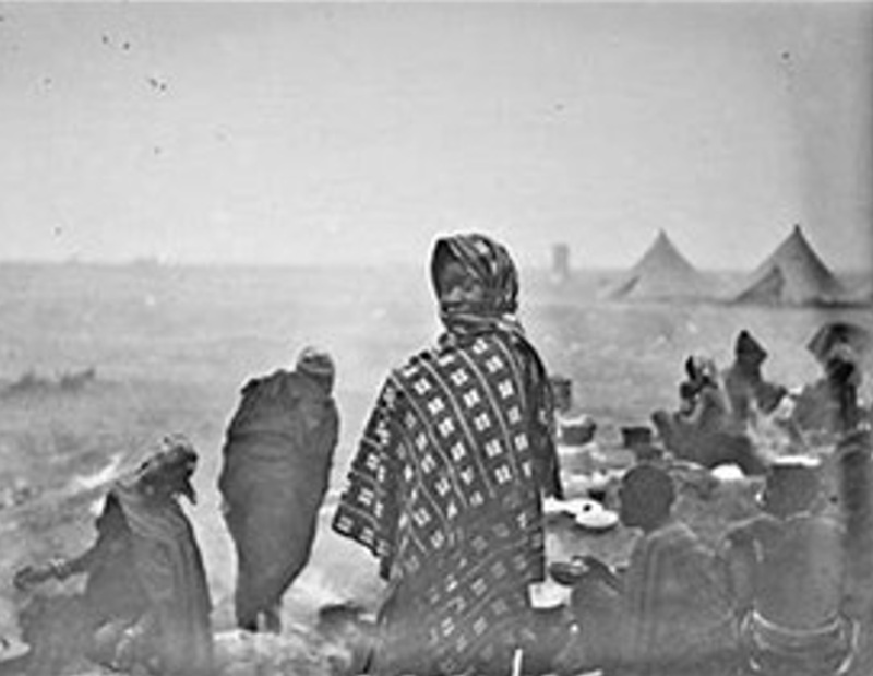 [DEBARQUEMENT DE PROVENCE] « Mesdames Tirailleurs »