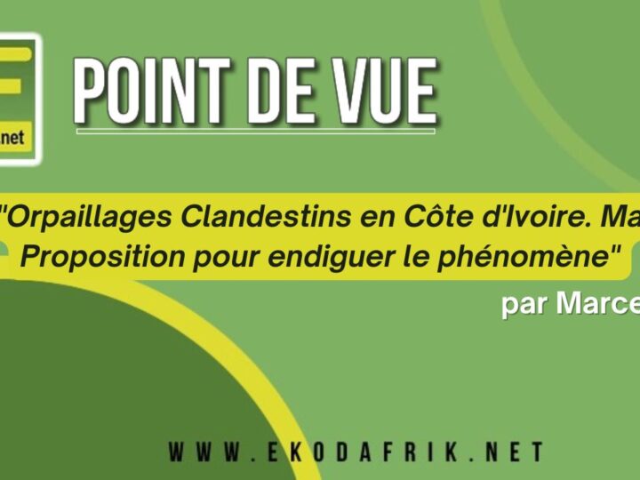 [POINT DE VUE] « Orpaillages Clandestins en Côte d&rsquo;Ivoire. Ma Proposition pour endiguer le phénomène » par Marcel AKA
