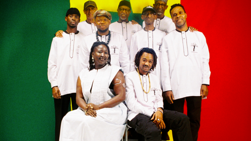 📅 Samedi 10 octobre 2026 📍 Saint Etienne [CONCERT]  🇸🇳 🎶 L&rsquo;Orchestra Baobab en live avec son nouvel album